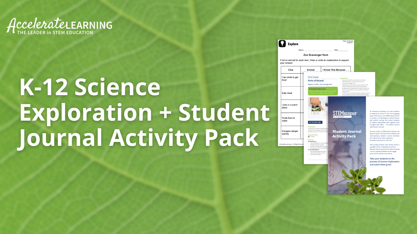 Stemscopes Science Student Journal Activity Pack - Mountain Illustrations - Premium Retina Collection